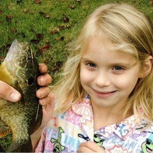 Meet your Posher, Ava